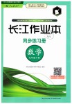 2019年長江作業(yè)本同步練習冊九年級數(shù)學下冊人教版