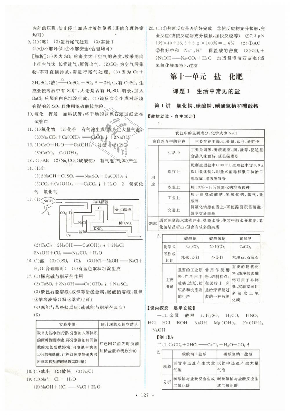 2019年能力培养与测试九年级化学下册人教版 第13页