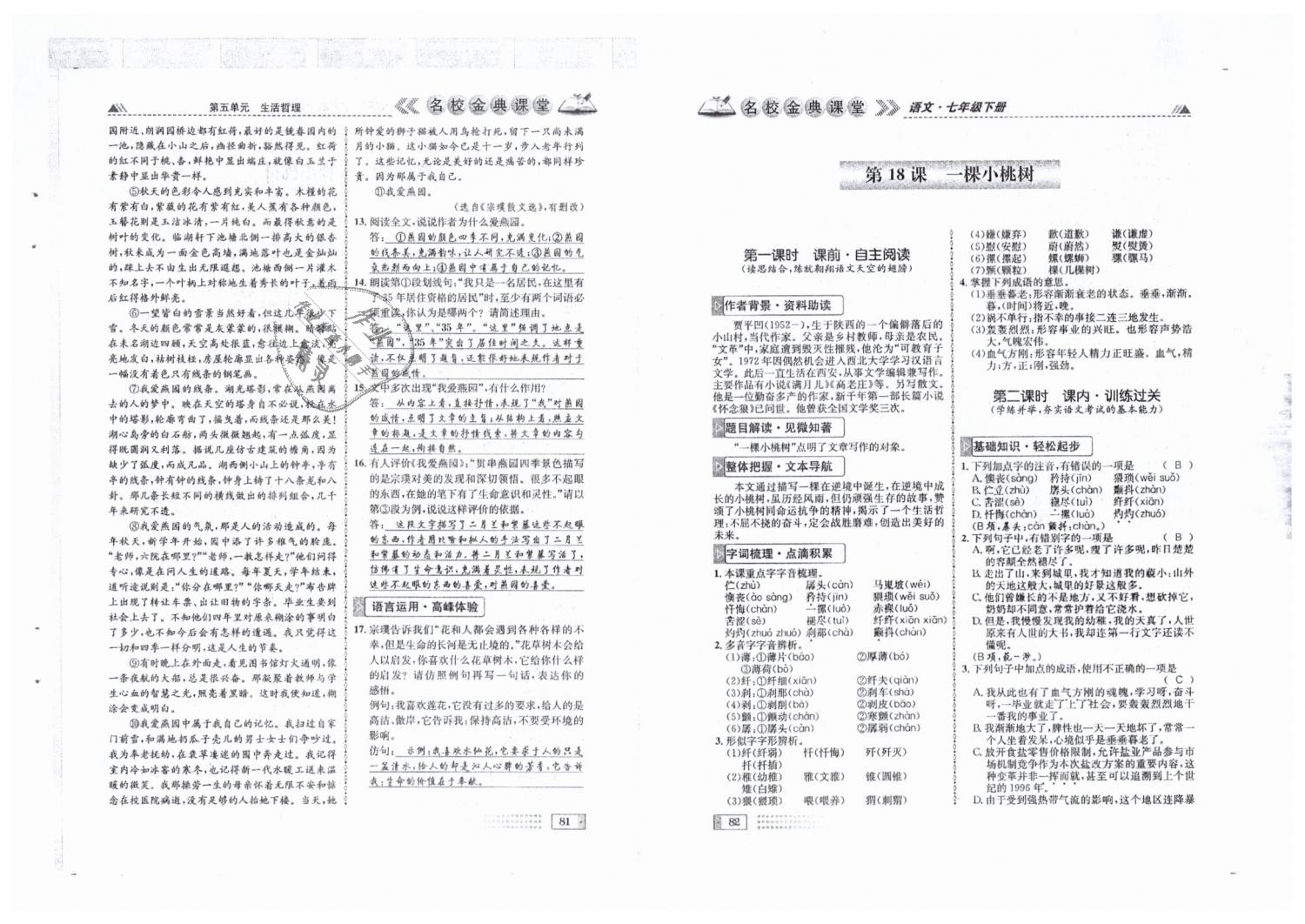 2019年名校金典课堂七年级语文下册人教版成都专版 第41页