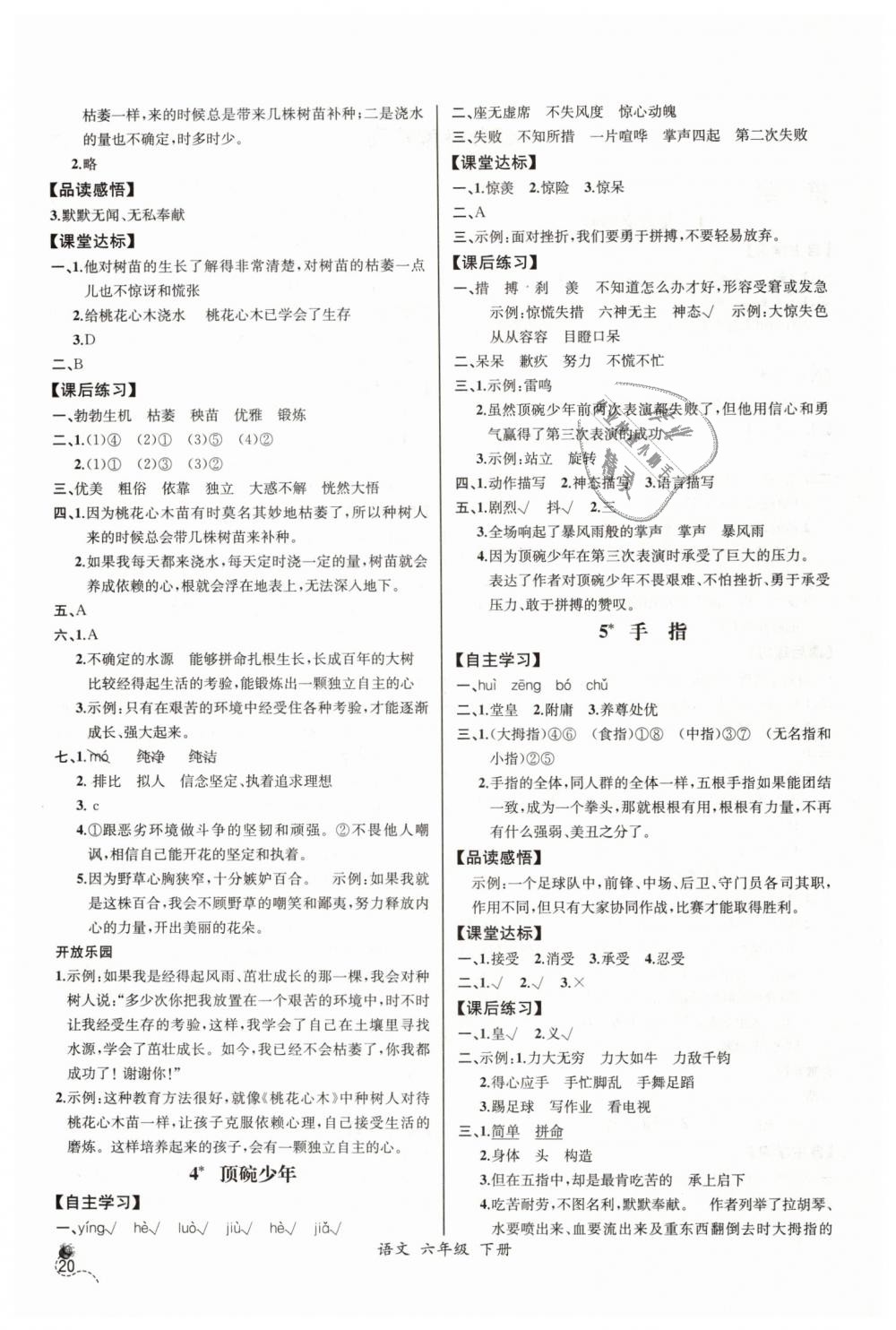 2019年同步导学案课时练六年级语文下册人教版河北专版 第2页