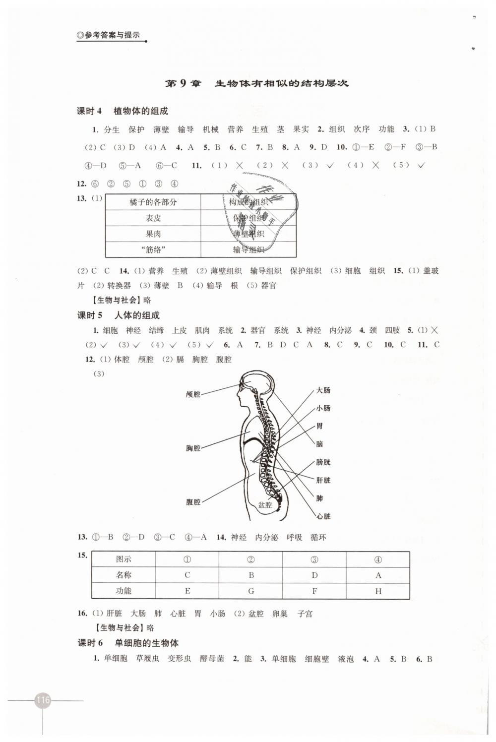 2019年課課練初中生物學(xué)七年級下冊蘇科版 第2頁