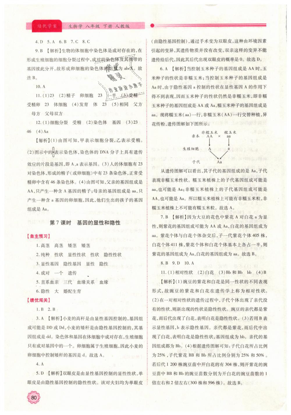 2019年績(jī)優(yōu)學(xué)案八年級(jí)生物學(xué)下冊(cè)人教版 第4頁(yè)