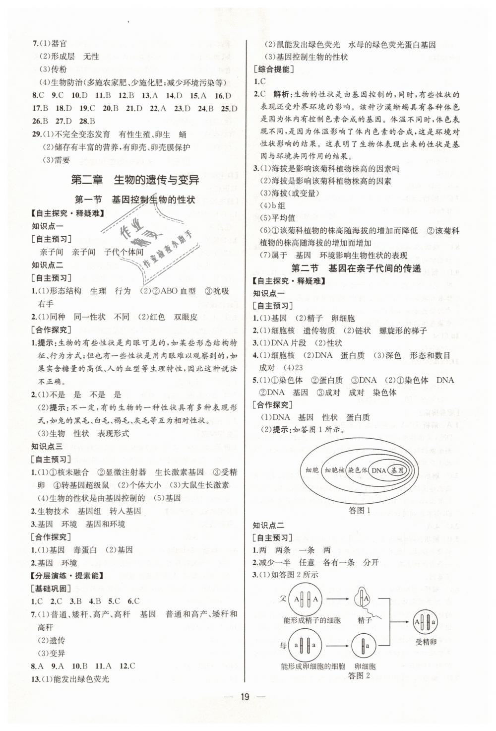 2019年同步學歷案課時練八年級生物學下冊人教版河北專版 第3頁