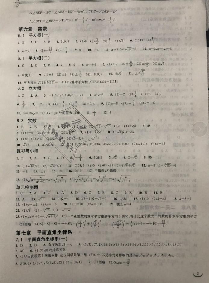 2019年长江作业本同步练习册七年级数学下册人教版 第3页