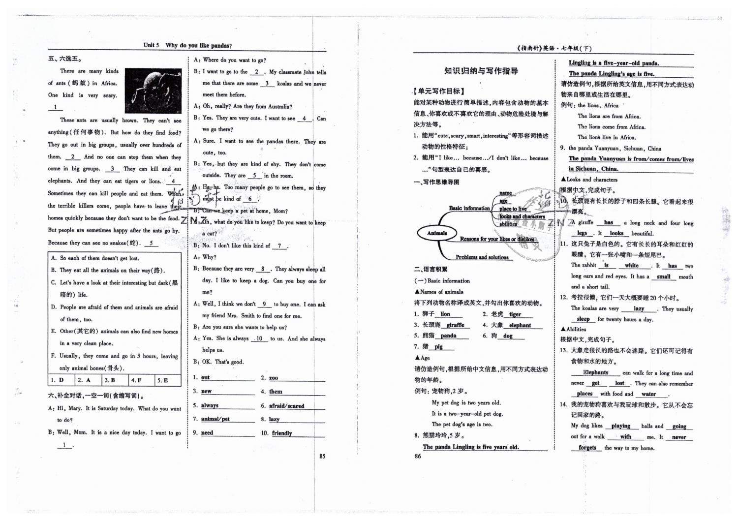 2019年指南针高分必备七年级英语下册人教版 第43页