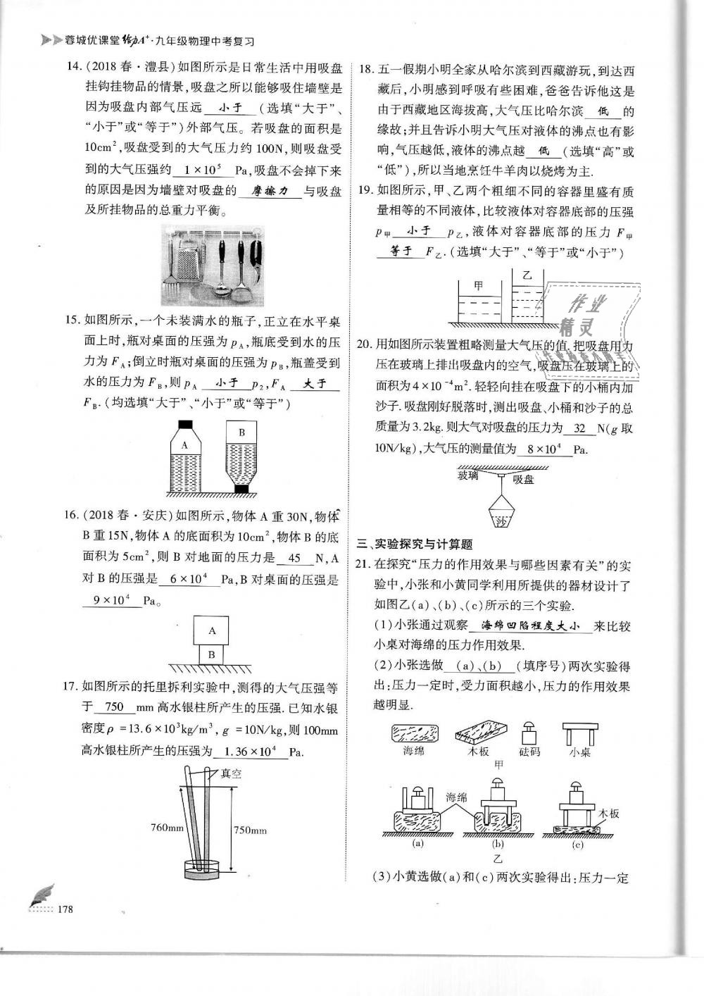 2019年蓉城優(yōu)課堂給力A加九年級物理中考復(fù)習(xí)教科版 第178頁