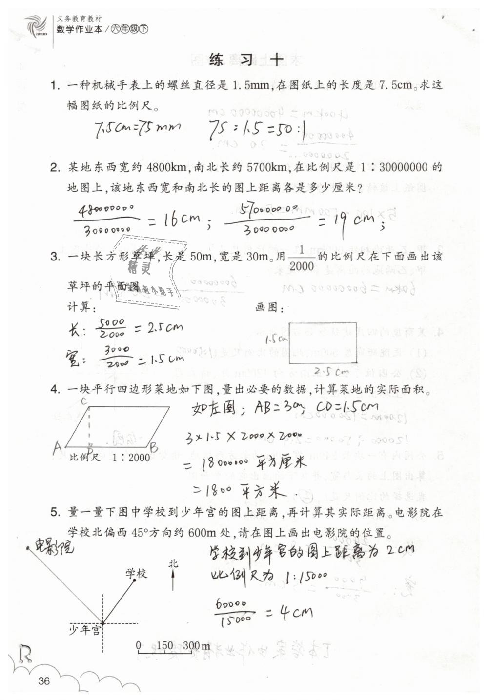 2019年數(shù)學(xué)作業(yè)本六年級下冊人教版浙江教育出版社 第36頁