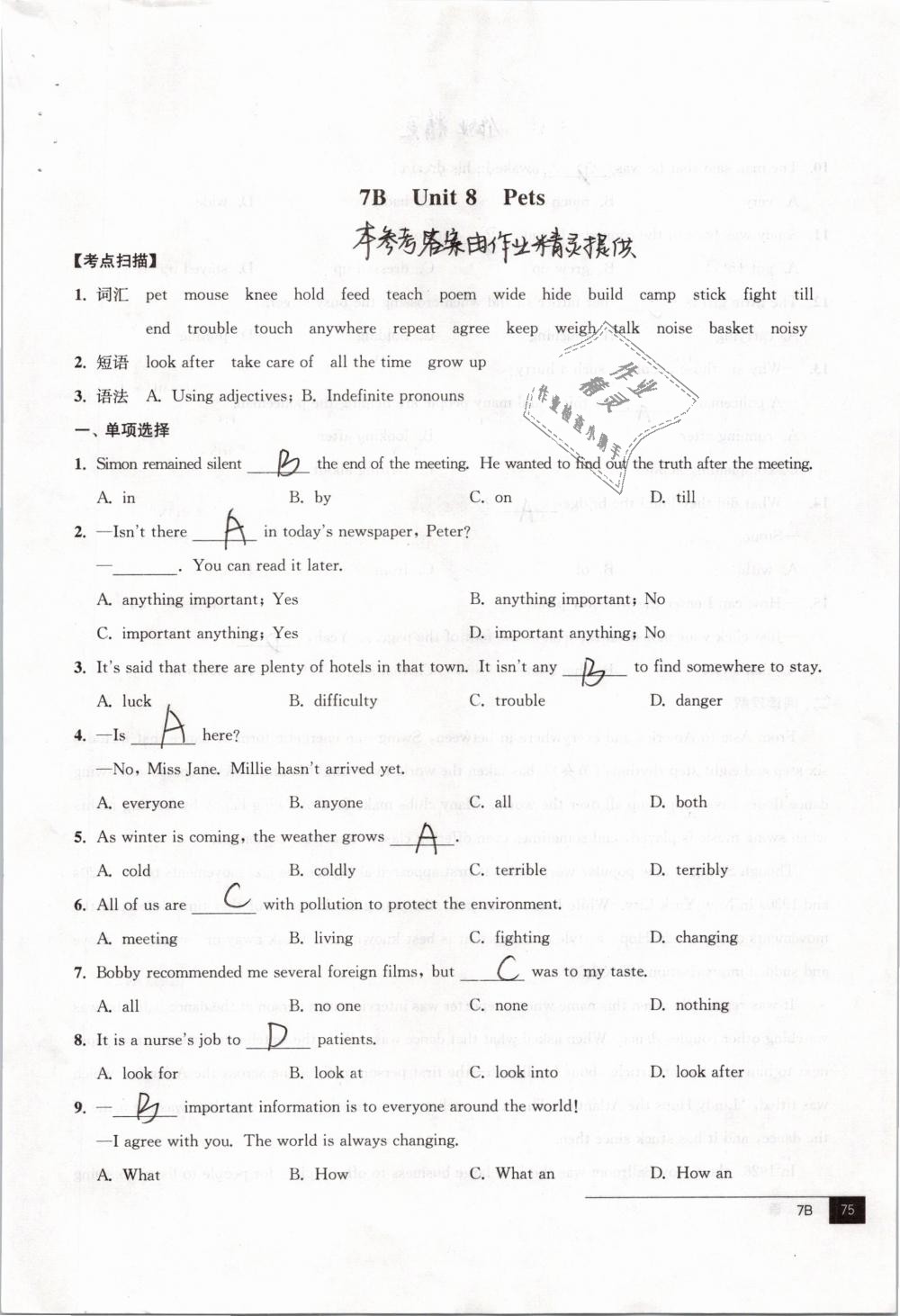 2019年中考指南英語九年級譯林版 第75頁