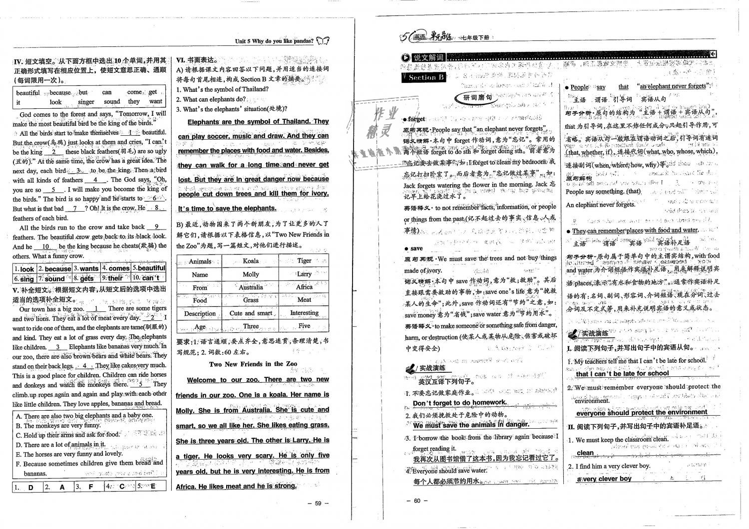 2019年單元導(dǎo)練七年級英語下冊人教版 第30頁