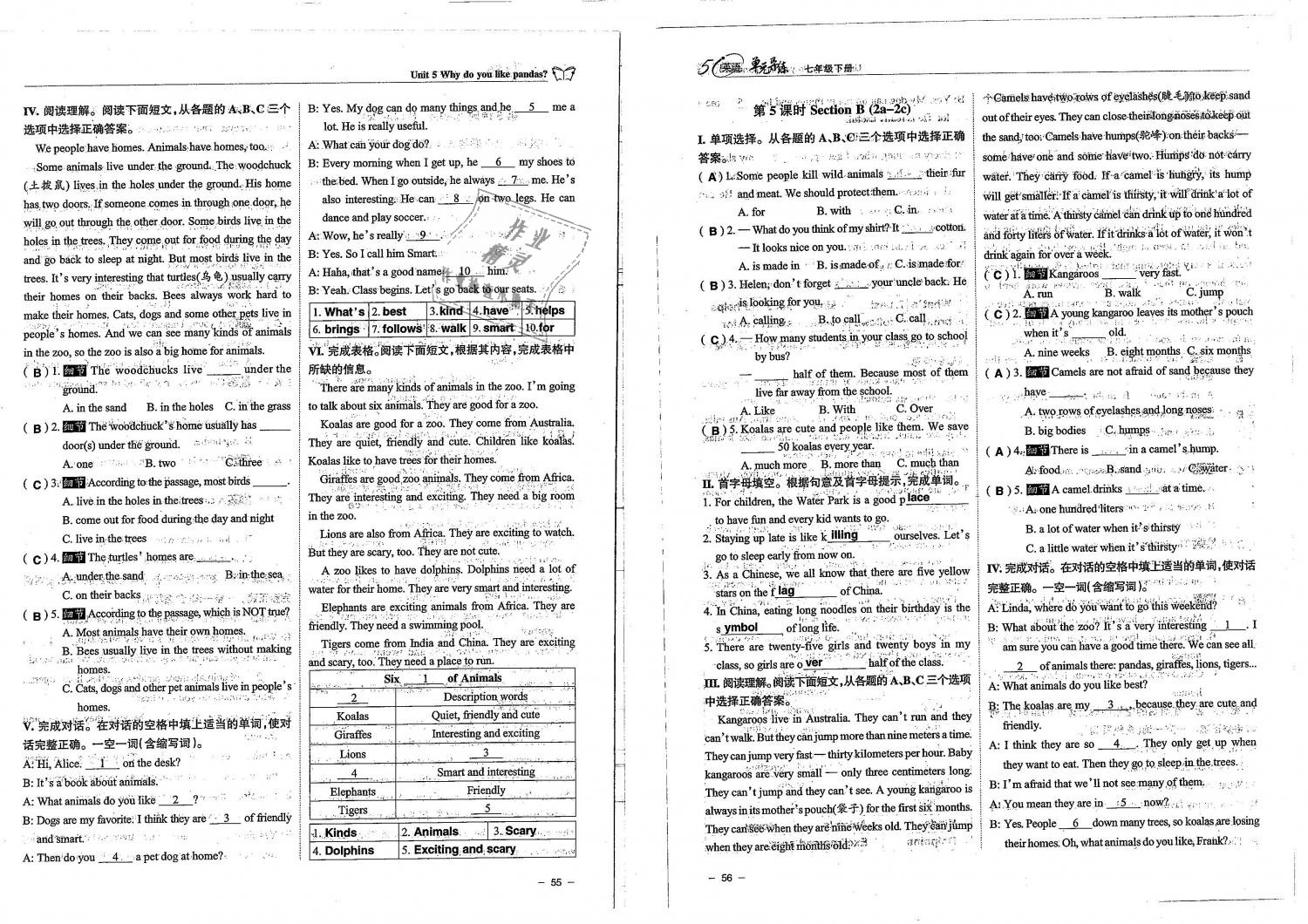 2019年單元導(dǎo)練七年級(jí)英語下冊(cè)人教版 第28頁