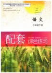 2019年語(yǔ)文配套綜合練習(xí)七年級(jí)下冊(cè)人教版甘肅少年兒童出版社