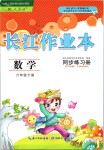 2020年长江作业本同步练习册六年级数学下册人教版