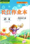 2019年長江作業(yè)本同步練習(xí)冊(cè)六年級(jí)語文下冊(cè)人教版