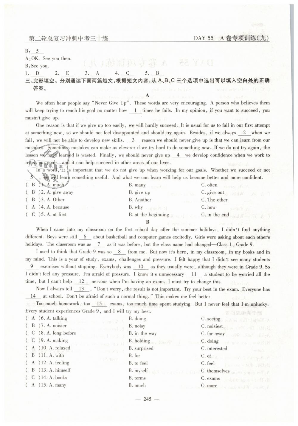 2019年英語(yǔ)風(fēng)向標(biāo)中考總復(fù)習(xí)加強(qiáng)創(chuàng)新版 第245頁(yè)