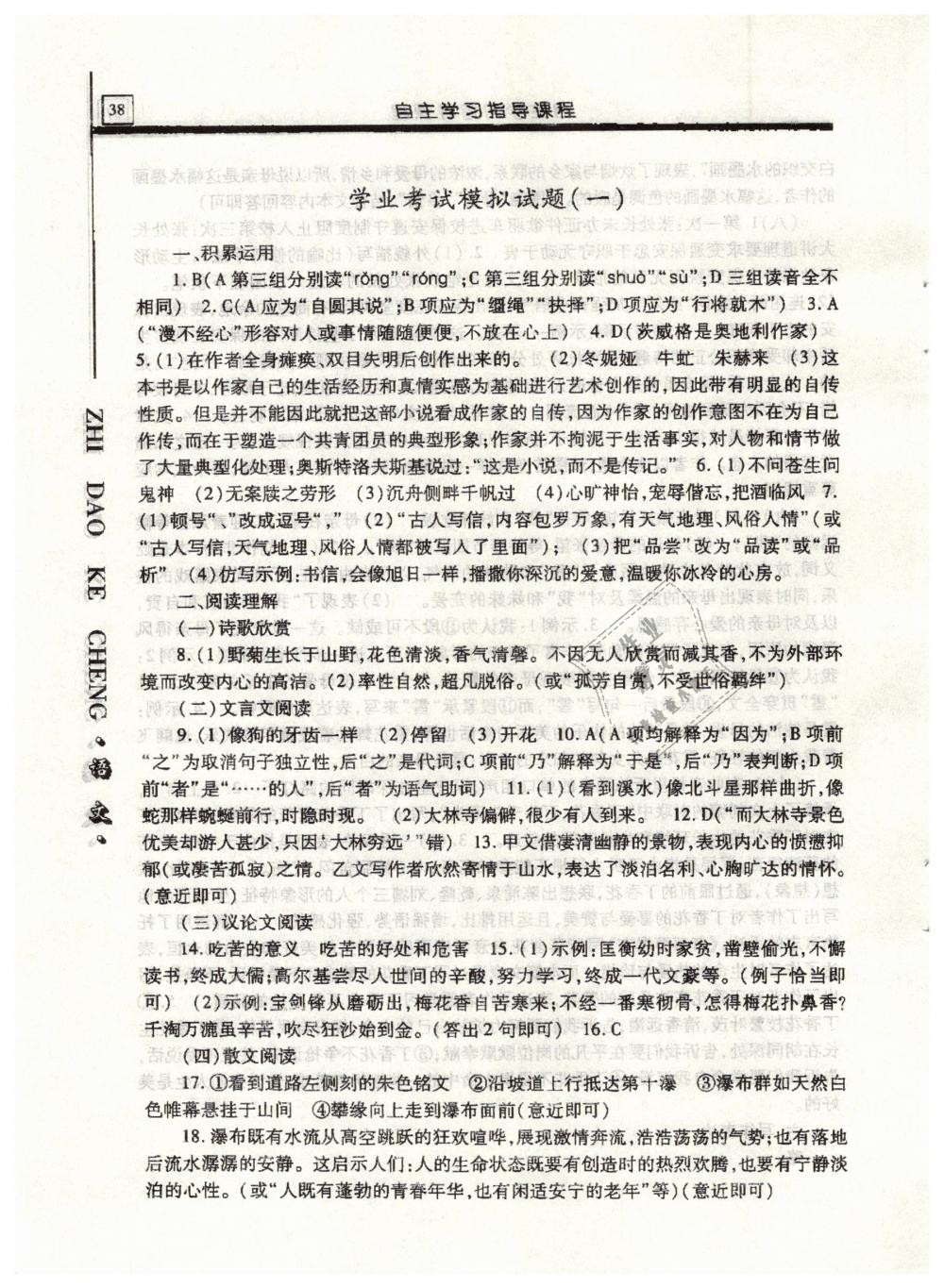 2019年自主学习指导课程九年级语文下册人教版 第38页