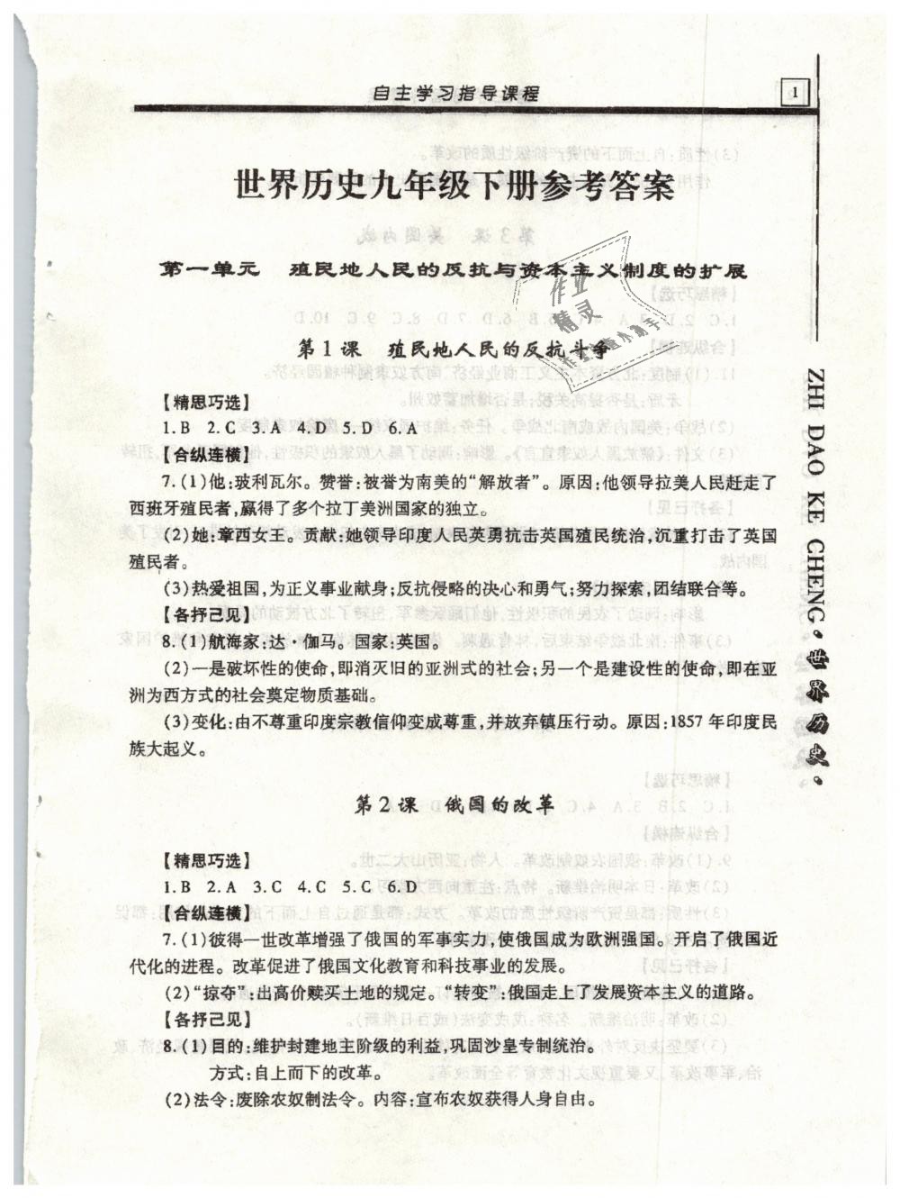 2019年自主學(xué)習(xí)指導(dǎo)課程九年級(jí)世界歷史下冊(cè)人教版 第1頁(yè)