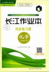 2019年長(zhǎng)江作業(yè)本同步練習(xí)冊(cè)九年級(jí)化學(xué)下冊(cè)人教版