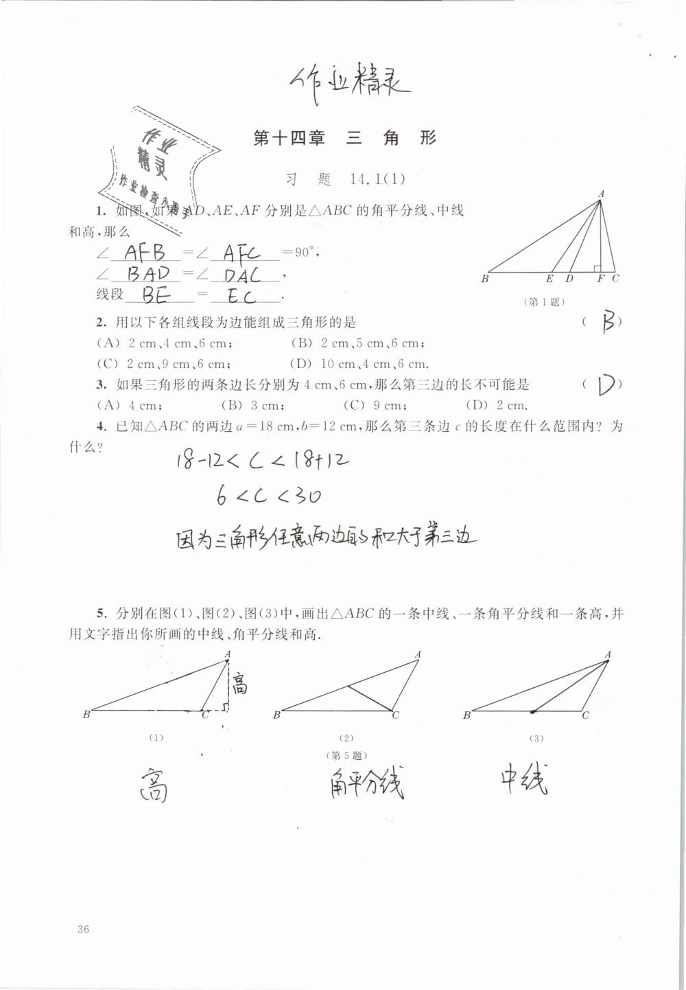 2019年數(shù)學練習部分七年級第二學期 第36頁