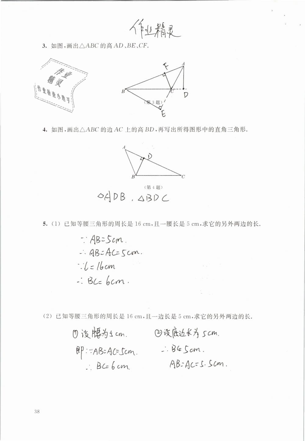 2019年數(shù)學練習部分七年級第二學期 第38頁