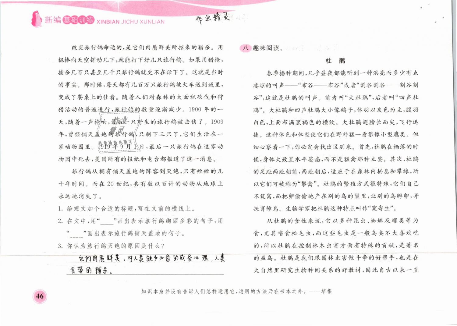 2019年新編基礎(chǔ)訓(xùn)練四年級語文下冊蘇教版黃山書社 第46頁