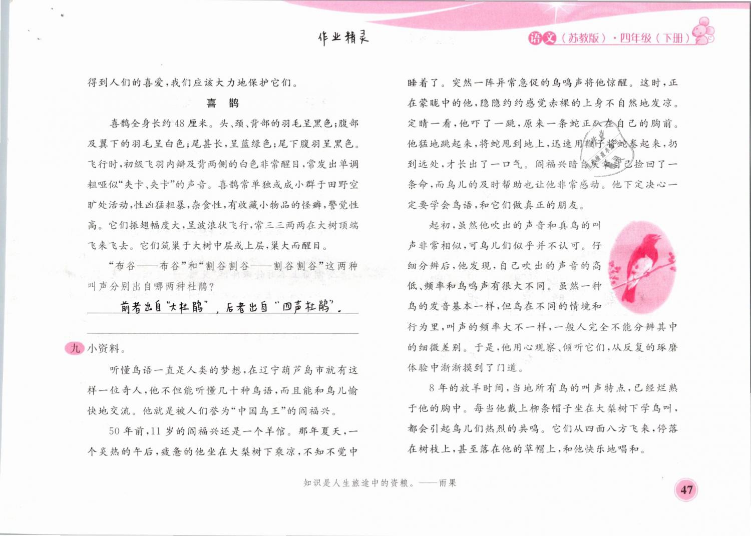 2019年新編基礎(chǔ)訓(xùn)練四年級語文下冊蘇教版黃山書社 第47頁