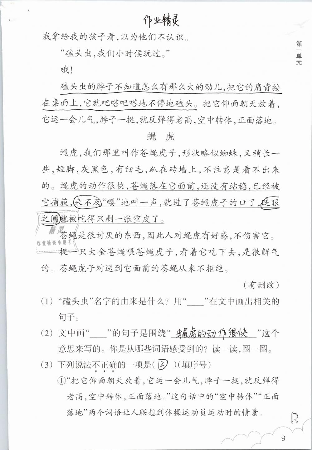 2019年语文作业本三年级下册人教版浙江教育出版社 第9页