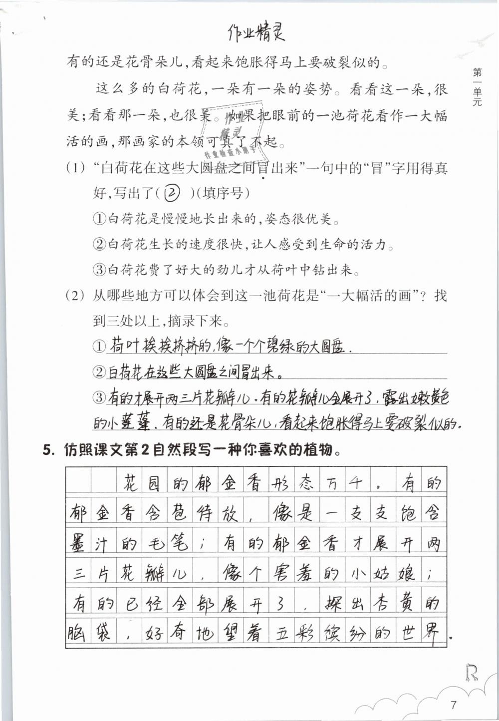 2019年語(yǔ)文作業(yè)本三年級(jí)下冊(cè)人教版浙江教育出版社 第7頁(yè)