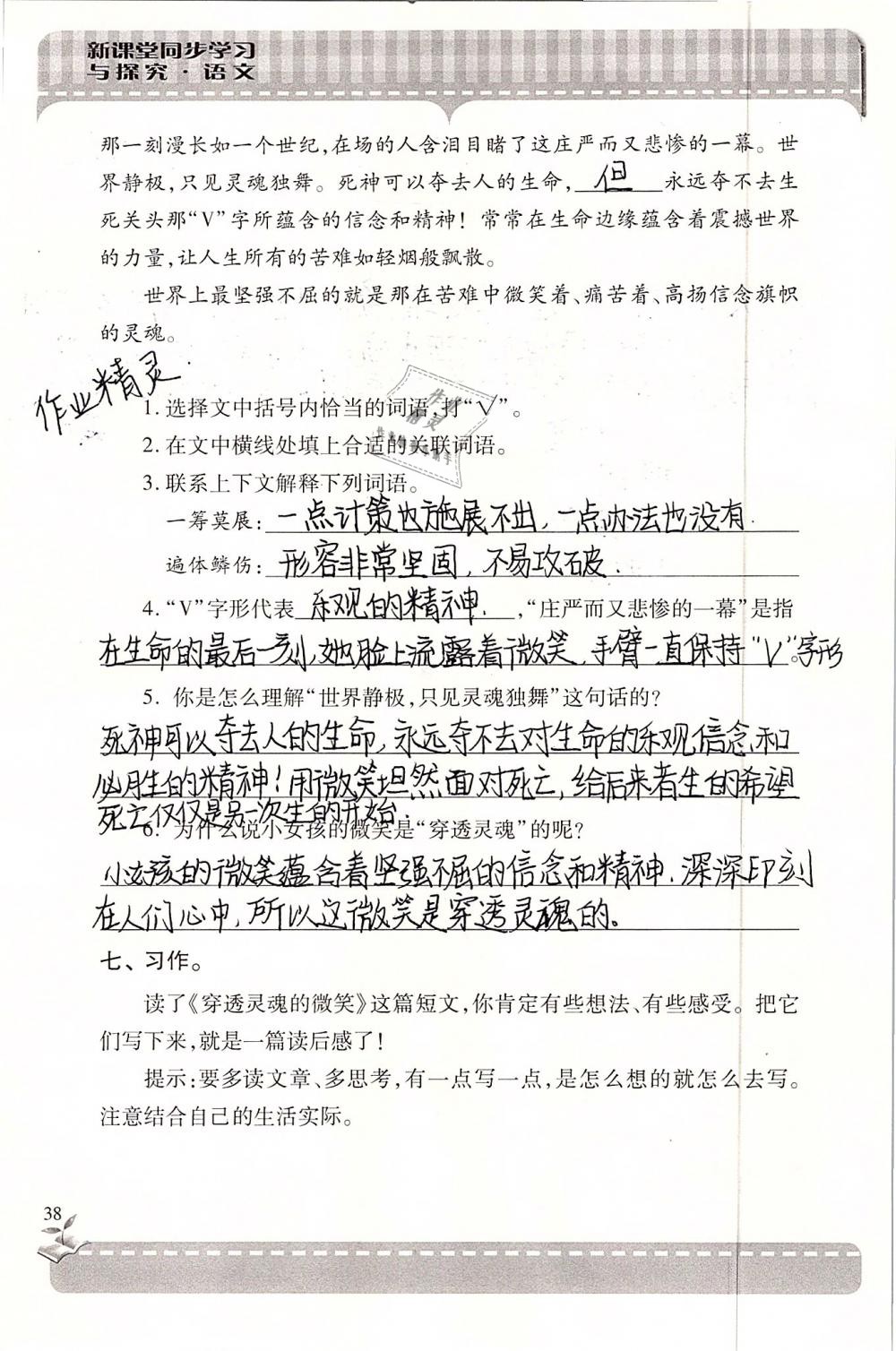 2019年新课堂同步学习与探究六年级语文下学期苏教版 参考答案第38页