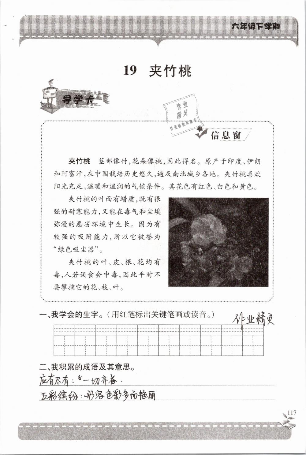 2019年新课堂同步学习与探究六年级语文下学期苏教版 参考答案第117页