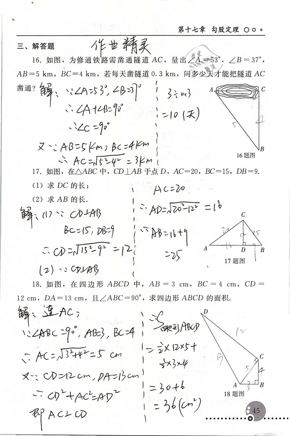 2019年配套练习册八年级数学下册人教版人民教育出版社 参考答案第45页