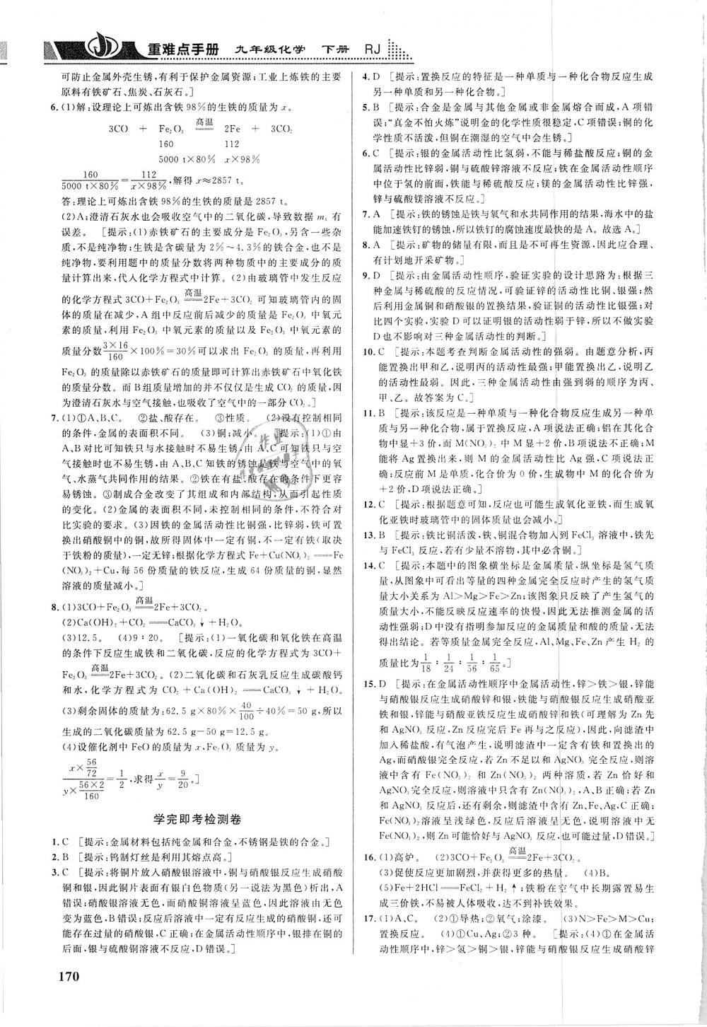 2019年重難點(diǎn)手冊九年級化學(xué)下冊人教版 第3頁