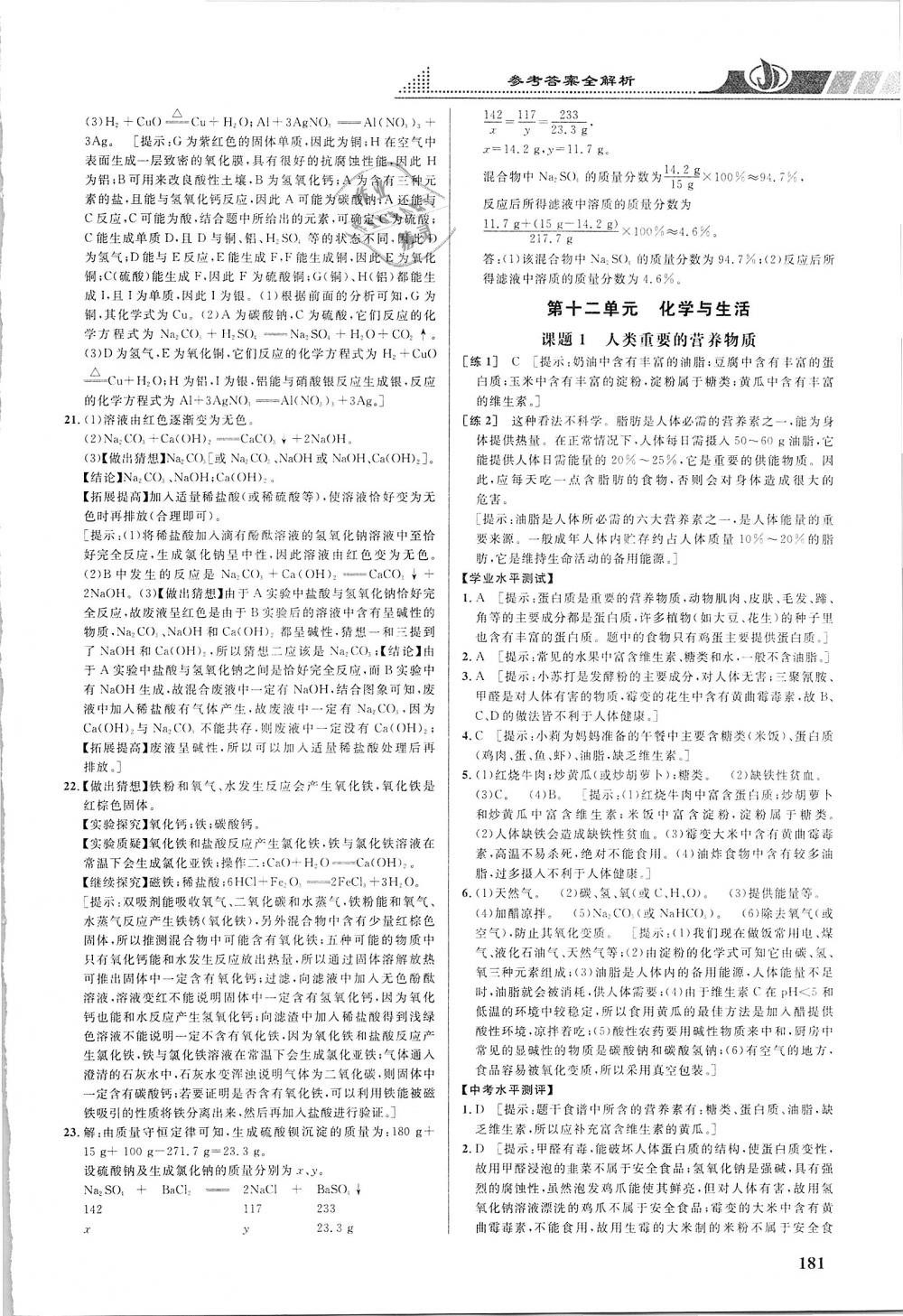 2019年重難點(diǎn)手冊九年級化學(xué)下冊人教版 第14頁