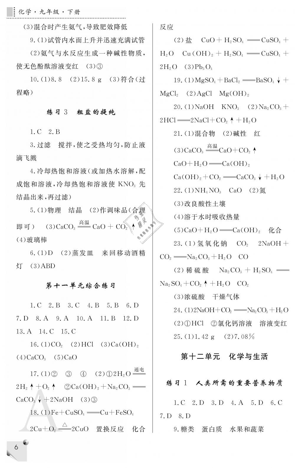 2019年课堂练习册九年级化学下册A版 第6页