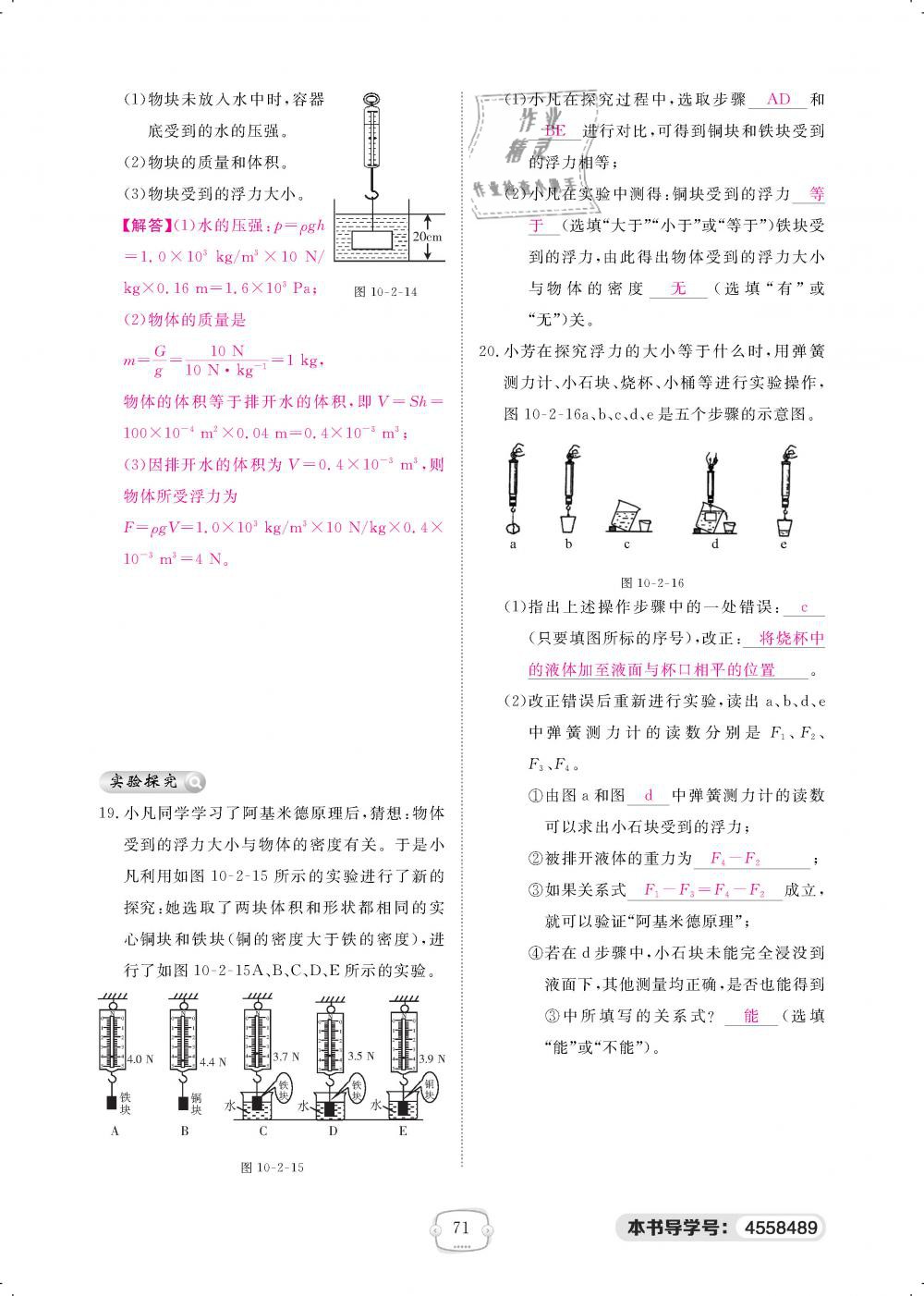 2019年領(lǐng)航新課標練習冊八年級物理下冊人教版 第71頁