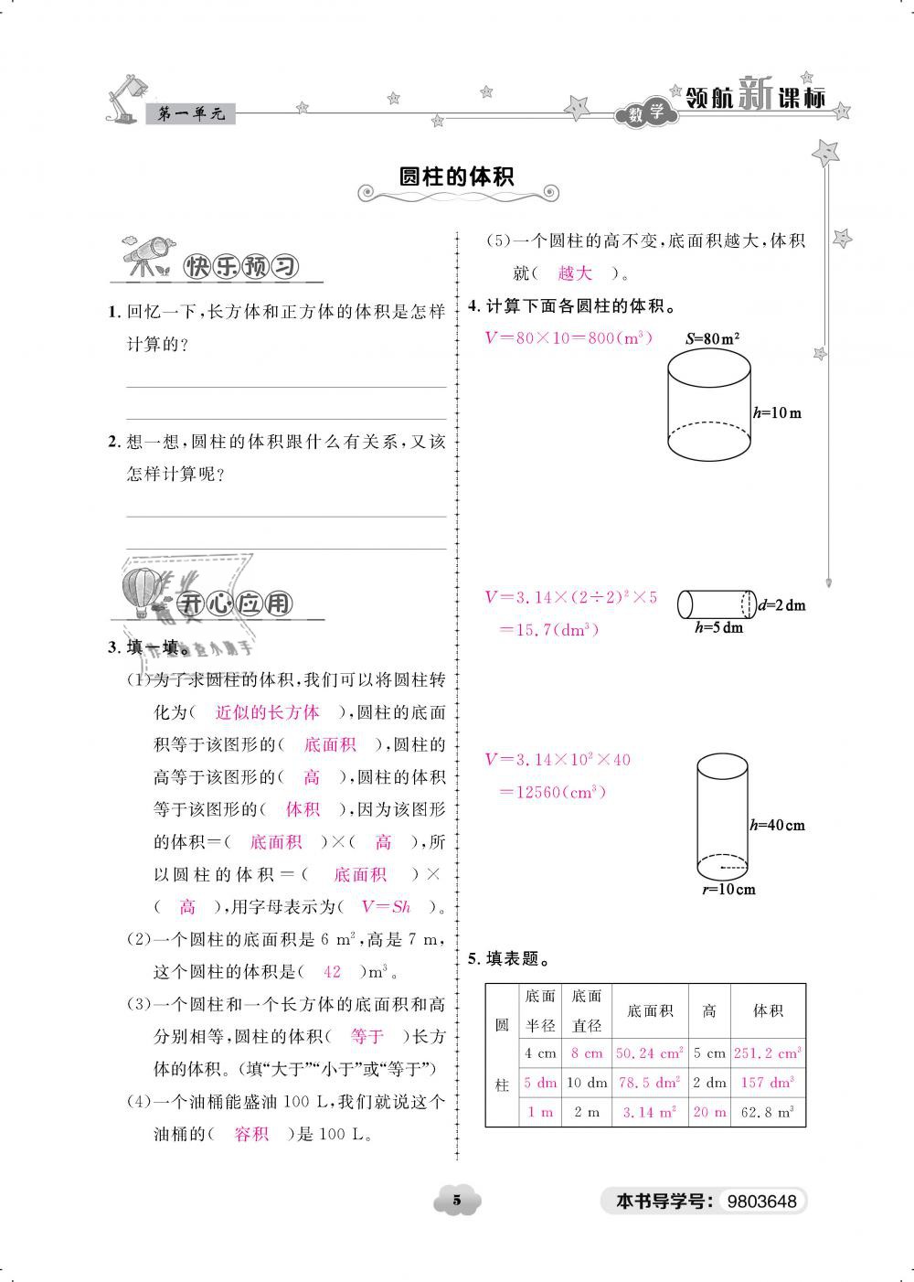 2019年領(lǐng)航新課標練習(xí)冊六年級數(shù)學(xué)下冊北師大版 第5頁