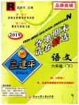 2019年孟建平各地期末試卷精選六年級(jí)語(yǔ)文下冊(cè)人教版