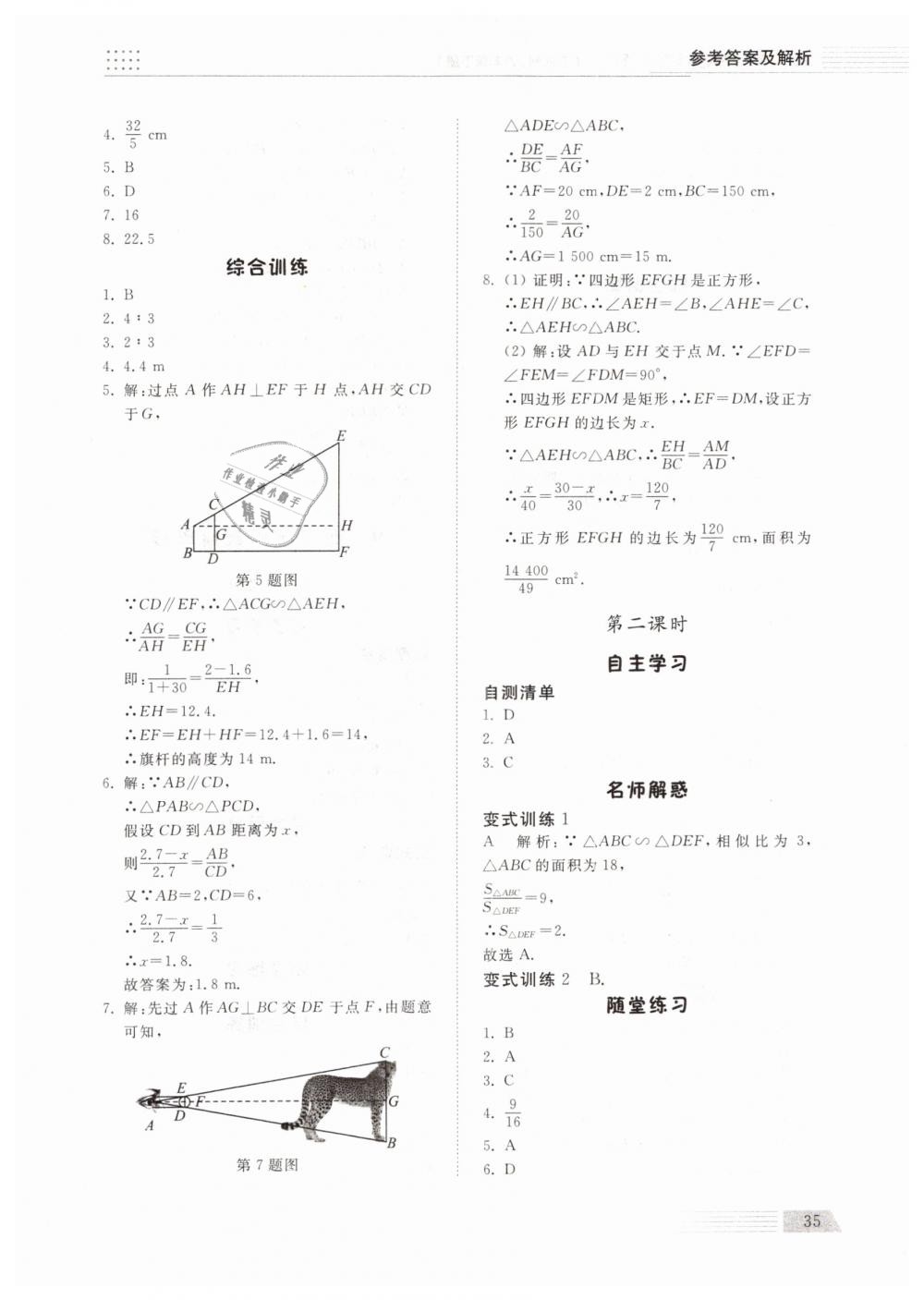 2019年综合能力训练八年级数学下册鲁教版五四制 第34页