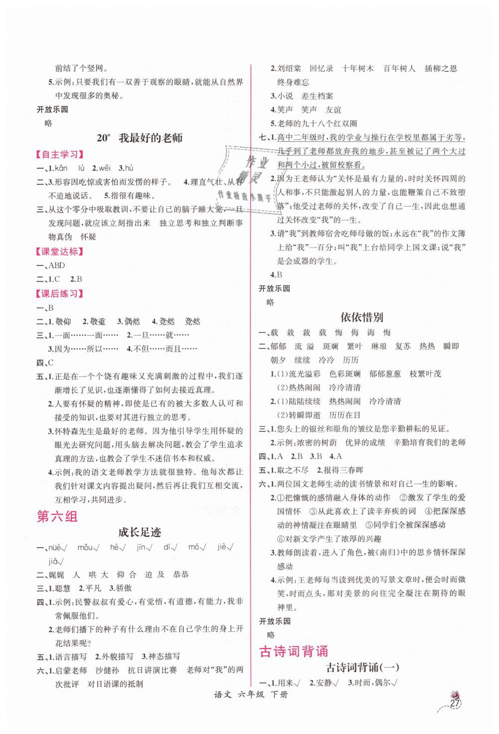 2019年同步導(dǎo)學(xué)案課時(shí)練六年級(jí)語(yǔ)文下冊(cè)人教版 第9頁(yè)