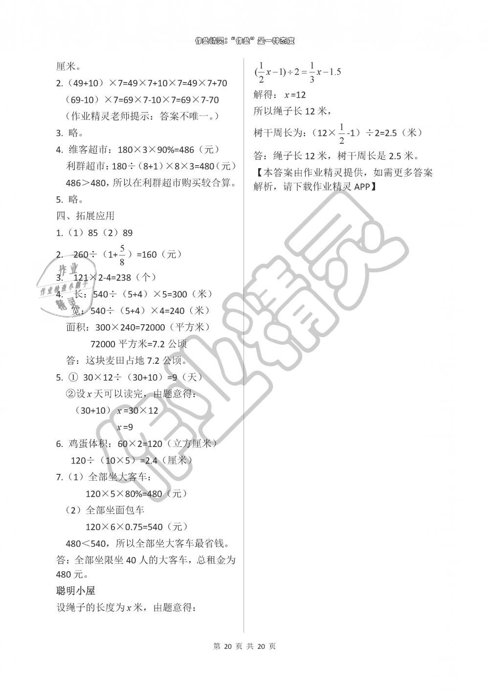 2019年新课堂同步学习与探究六年级数学下册青岛版 第20页