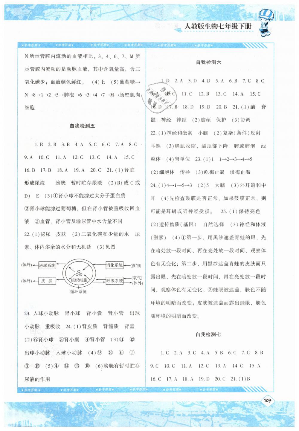 2019年課程基礎(chǔ)訓(xùn)練七年級(jí)生物下冊(cè)人教版湖南少年兒童出版社 第11頁(yè)