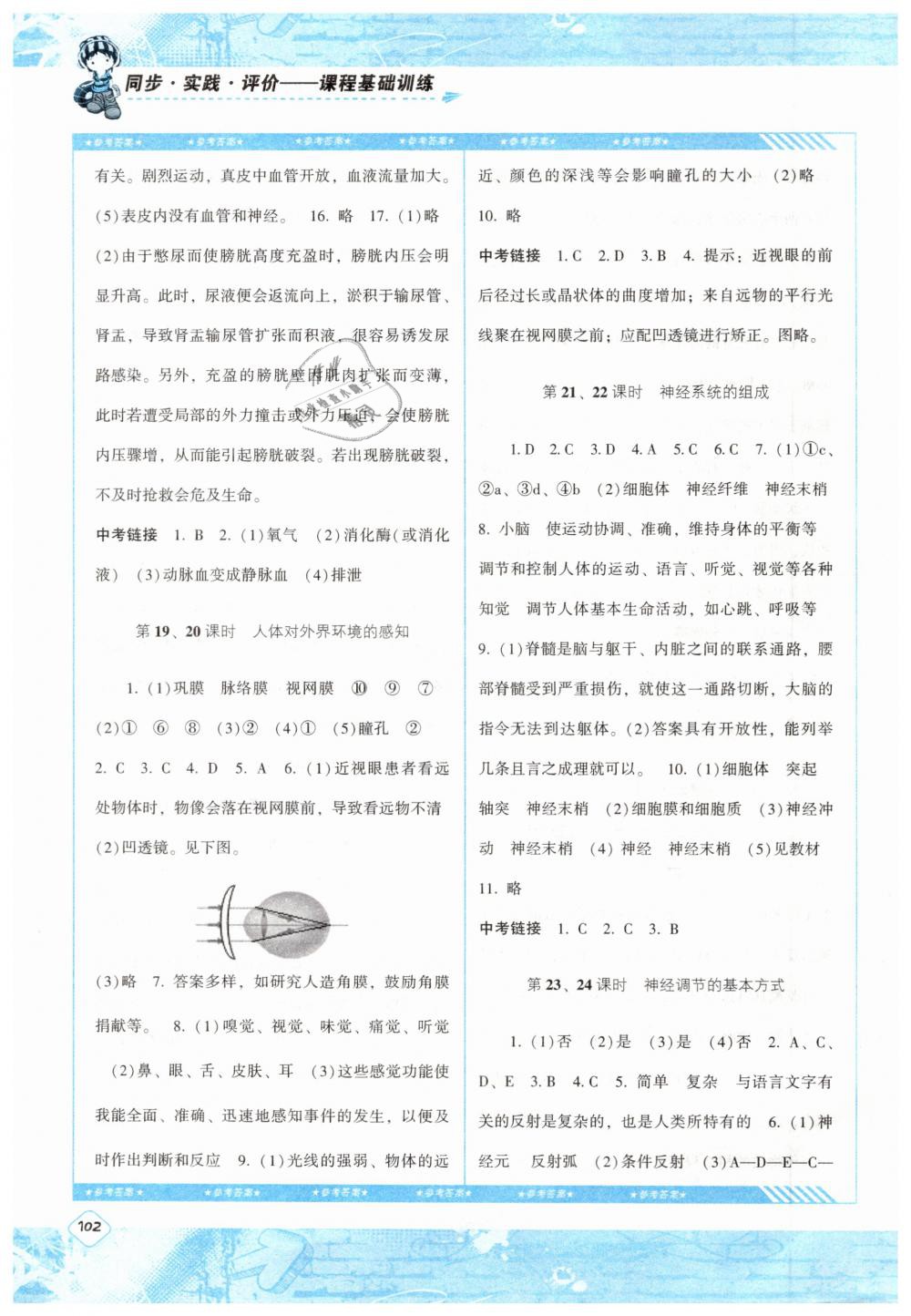 2019年課程基礎(chǔ)訓(xùn)練七年級(jí)生物下冊(cè)人教版湖南少年兒童出版社 第6頁(yè)