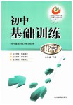 2019年初中基礎(chǔ)訓(xùn)練八年級化學(xué)下冊魯教版五四制山東教育出版社