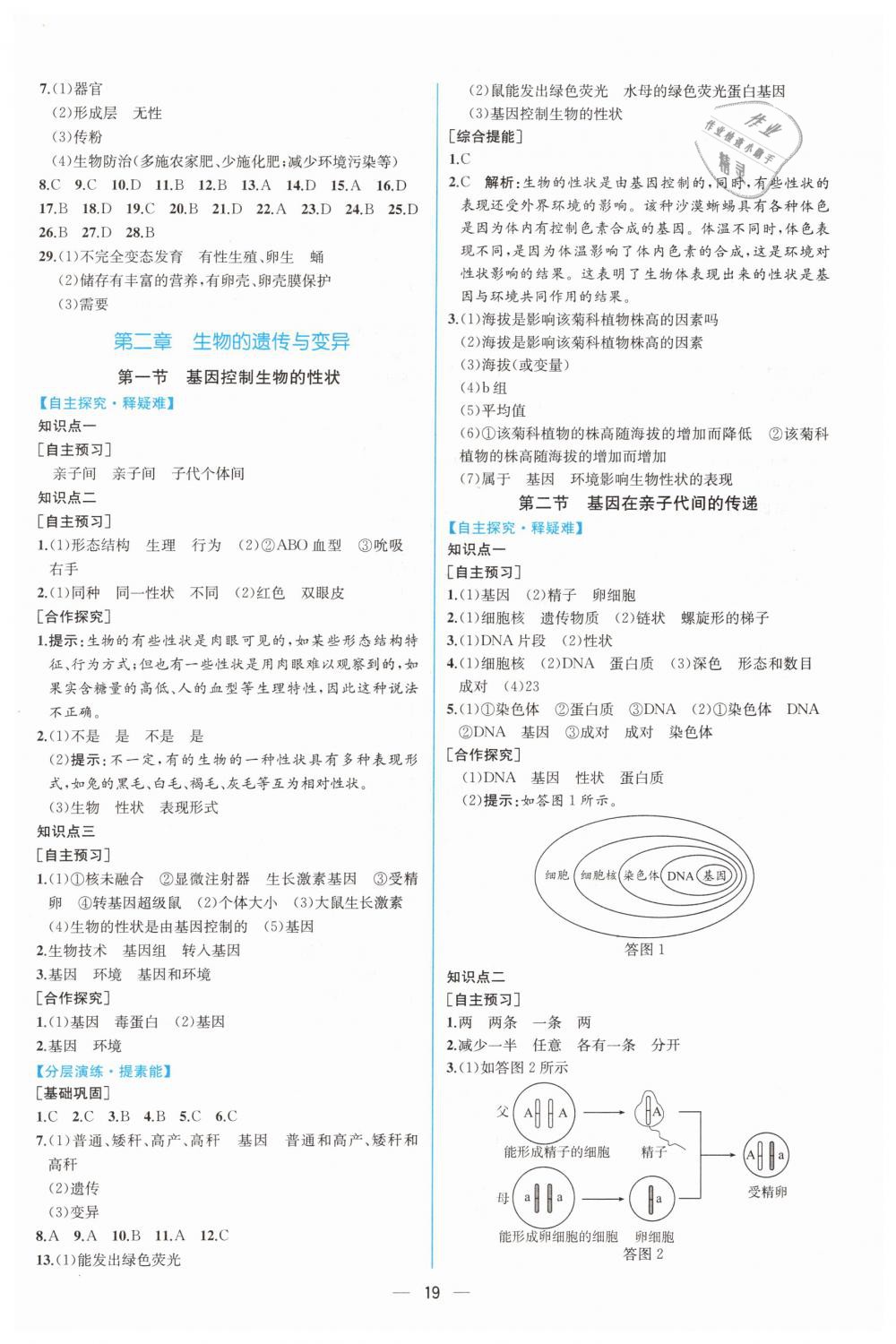 2019年同步学历案课时练八年级生物学下册人教版 第3页