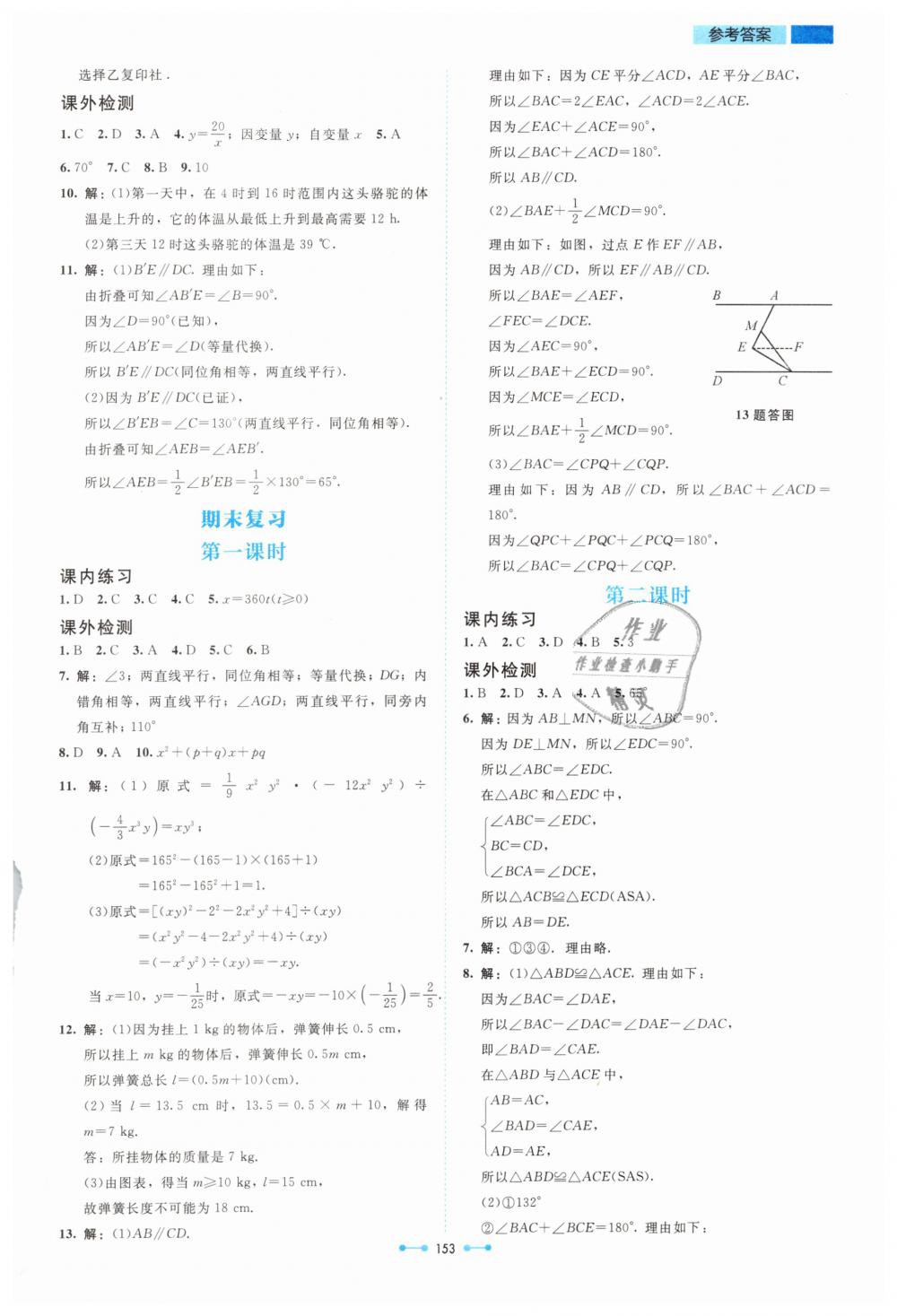 2019年伴你学七年级数学下册北师大版北京师范大学出版社 第23页