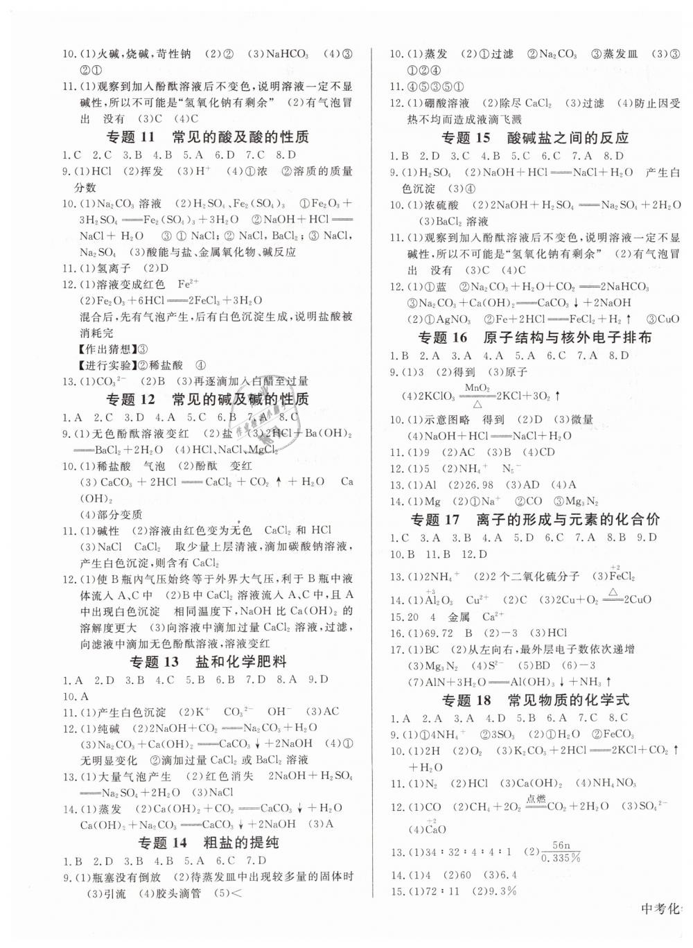 2019年思维新观察中考化学 第17页