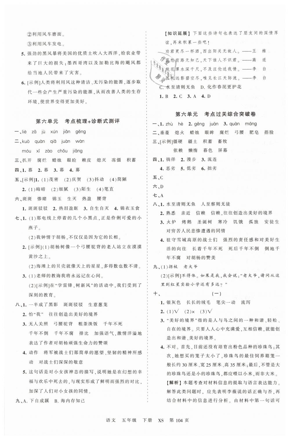 2019年王朝霞考點梳理時習卷五年級語文下冊西師大版 第8頁