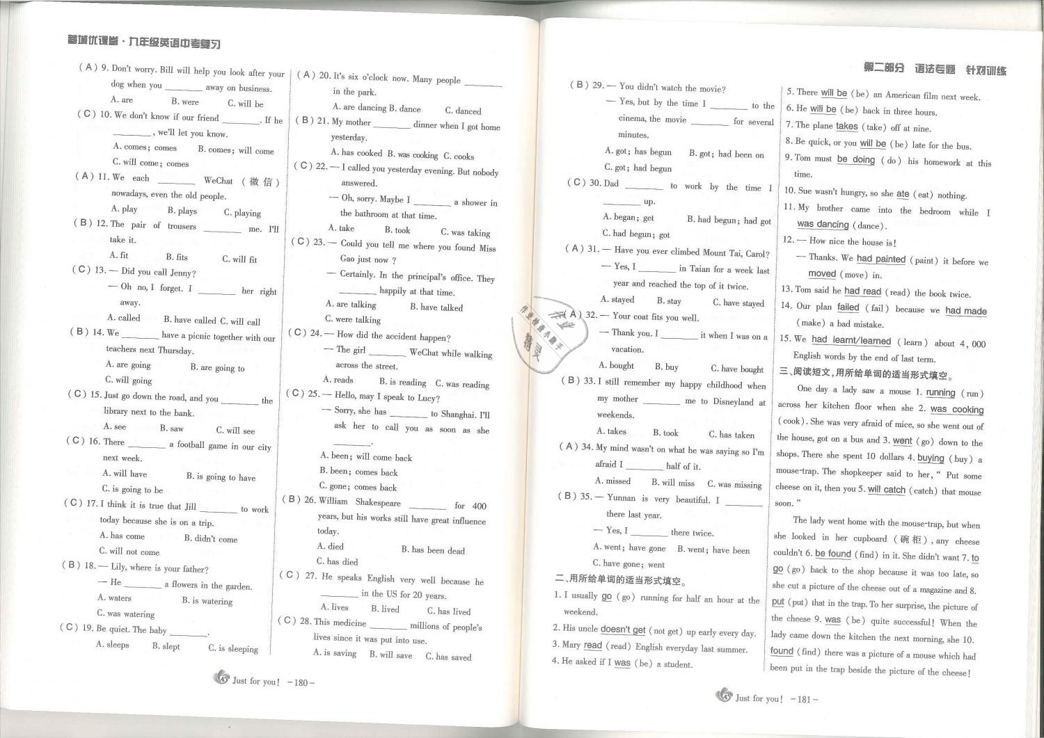 2019年蓉城優(yōu)課堂給力A加九年級英語中考總復(fù)習(xí)人教版 第91頁