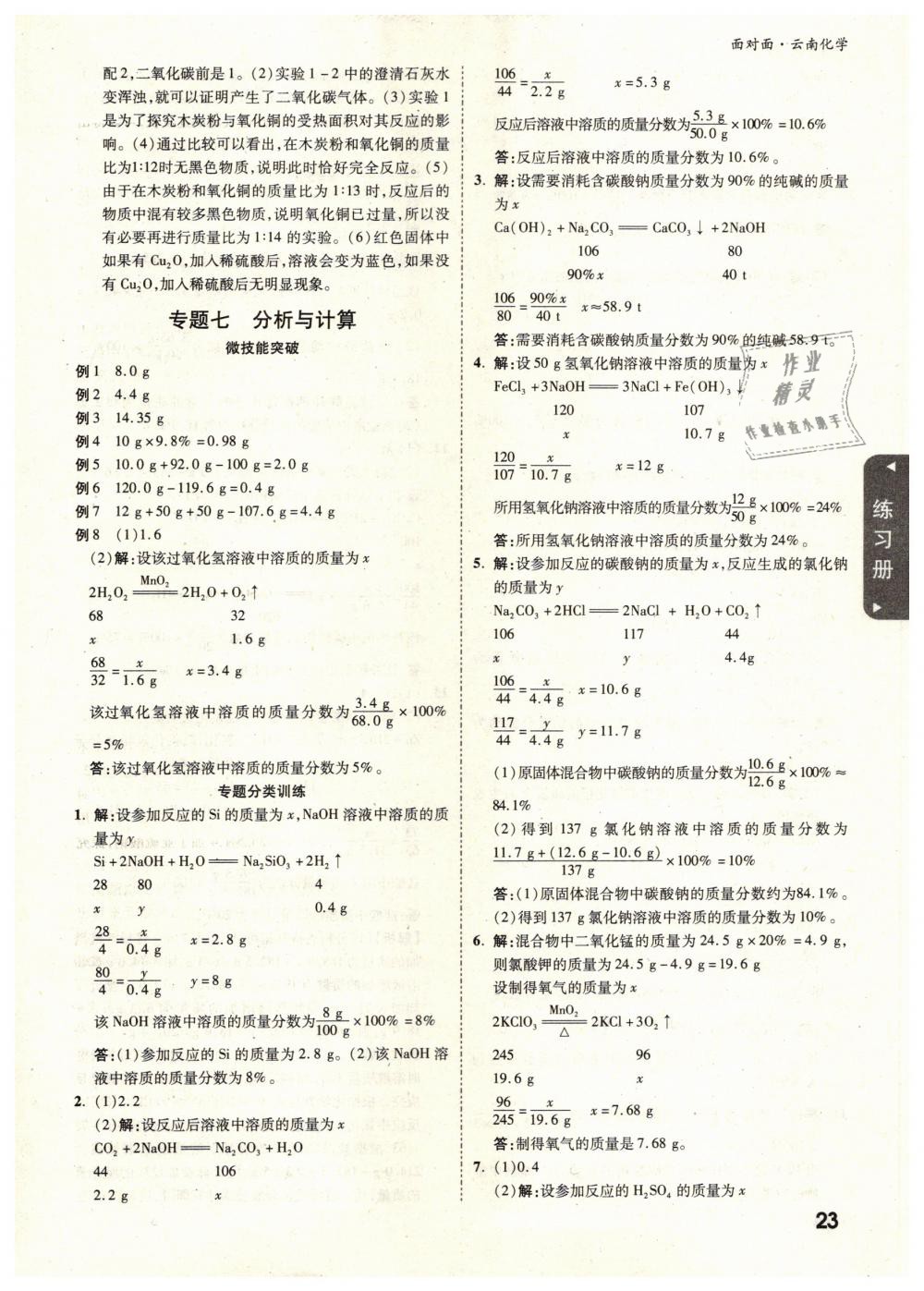 2019年云南中考面对面九年级化学 第23页