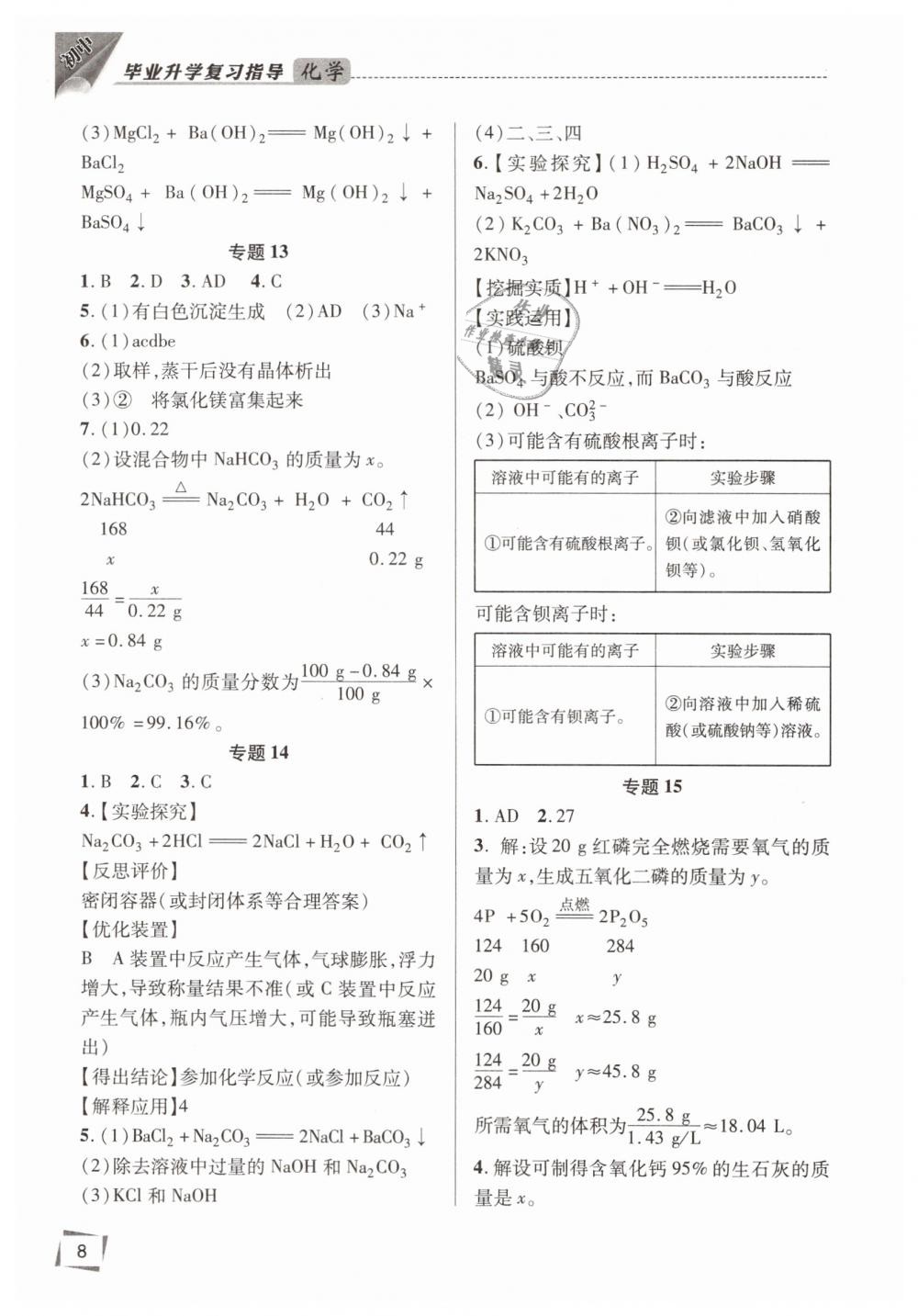 2019年初中畢業(yè)升學(xué)復(fù)習(xí)指導(dǎo)化學(xué)魯教版 第8頁