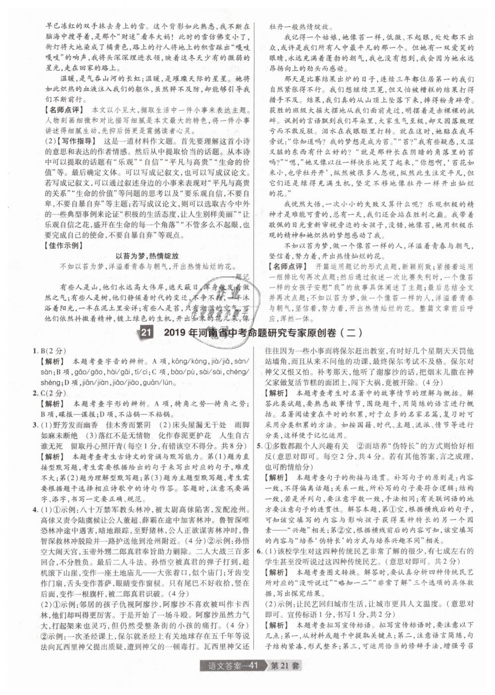 2019年金考卷河南中考45套匯編九年級語文 第41頁